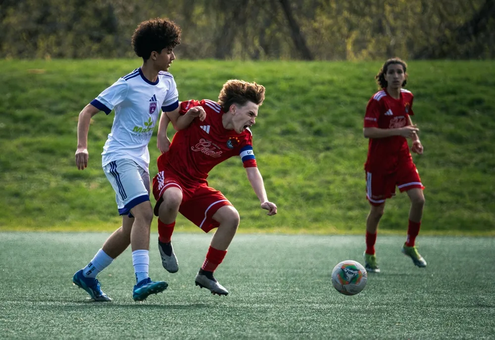 공격 성공률 데이터 시각화