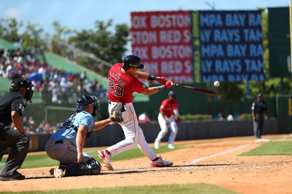 타자 친화적 구장을 보여주는 예시 사진