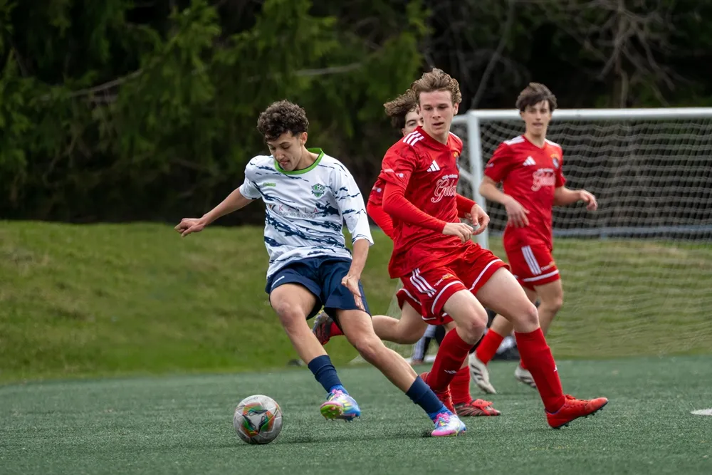 유로파리그 스포츠토토 배팅 전략: 변수를 분석해 승률을 높이는 데이터 기반 접근법